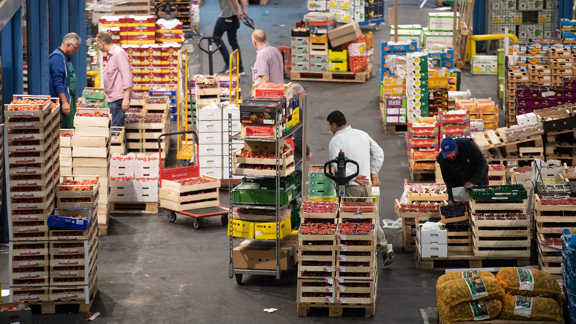 Im Hamburger Großmarkt werden viele Obst- und Gemüsekisten von Händlern bewegt. | picture alliance/dpa